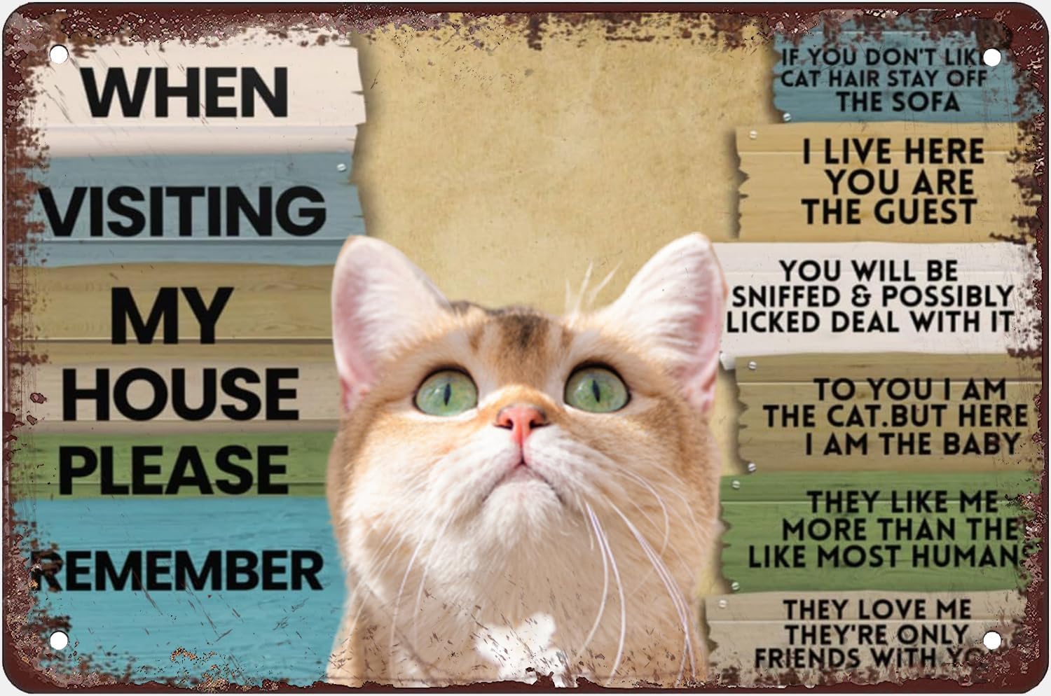 Katze, wenn Sie mein Haus besu – Bathroom Home Visit Bewertung und Preis